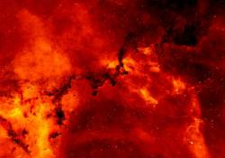Aureole : Stellar Remnants of a Crimson Void